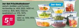 Netto Frischhaltedosen Angebot