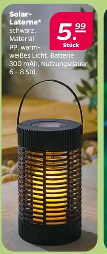Netto Solar-Laterne Angebot