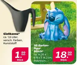 Netto Gießkanne* Angebot