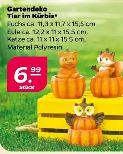 Netto Gartendeko Tier im Kürbis Angebot