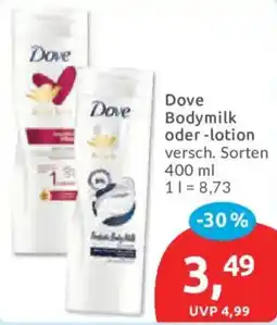 Budni Dove Bodymilk Angebot