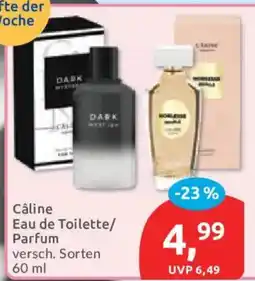 Budni Câline Eau de Toilette/Parfum Angebot