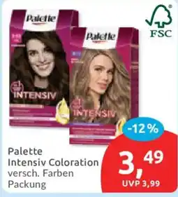 Budni Palette Intensiv Coloration Angebot