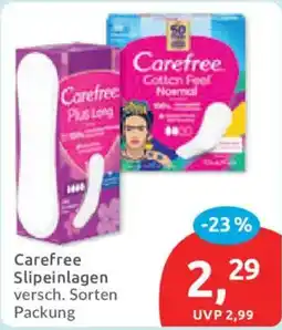 Budni Carefree Slipeinlagen Angebot