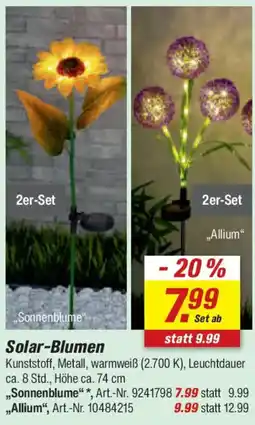 toom Baumarkt Solar-Blumen Angebot