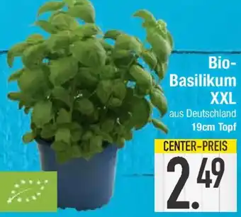 E-Center Bio Basilikum XXL Angebot
