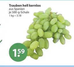 V Markt Trauben hell kernlos Angebot