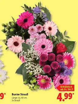 Lidl Bunter Strauß Angebot