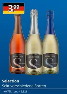 Sagasser Selection Sekt Angebot