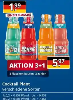 Sagasser Cocktail Plant Angebot