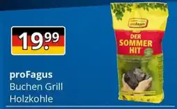 Sagasser proFagus Buchen Grill Holzkohle Angebot