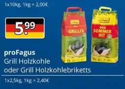 Sagasser proFagus Grill Holzkohle oder Grill Holzkohlebriketts Angebot