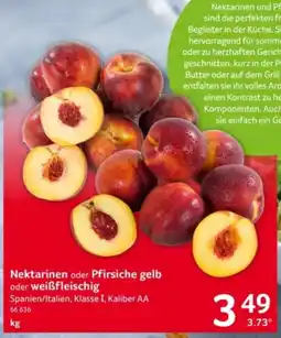 Selgros Nektarinen oder Pfirsiche gelb oder weißfleischig Angebot