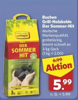 Combi Buchen Grill-Holzkohle profagus DER SOMMER HIT Angebot