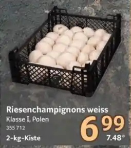 Selgros Riesen champignons weiss Angebot