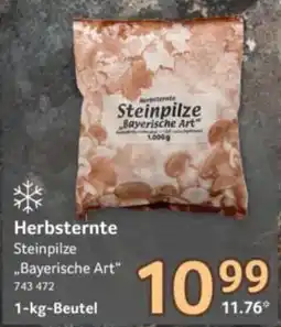 Selgros Herbsternte Steinpilze "Bayerische Art" Angebot