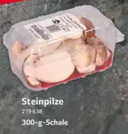 Selgros Steinpilze Angebot