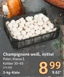 Selgros Champignons weiß, mittel Angebot