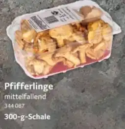 Selgros Pfifferlinge Angebot