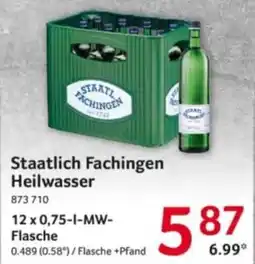 Selgros Staatlich Fachingen Heilwasser Angebot