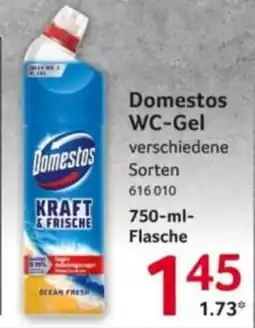 Selgros Domestos WC-Gel Angebot
