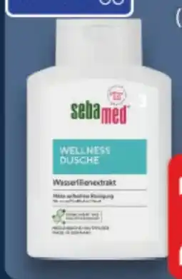 E-Center Sebamed Dusche Angebot