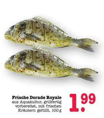Scheck-in-Center Frische Dorade Royale Angebot