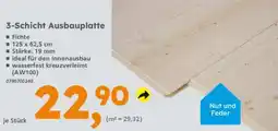 Globus Baumarkt 3-Schicht Ausbauplatte Nut und Feder Angebot