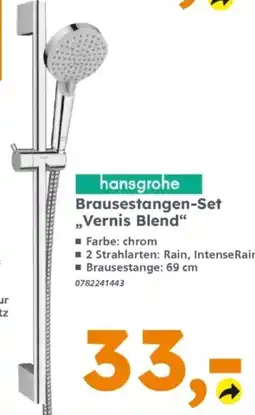 Globus Baumarkt hansgrohe Brausestangen-Set „Vernis Blend“ Angebot