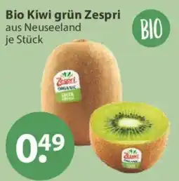 V Markt Bio Kiwi grün Zespri Angebot