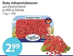 V Markt Rote Johannisbeeren SanLucar Angebot