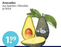 V Markt Avocados Angebot