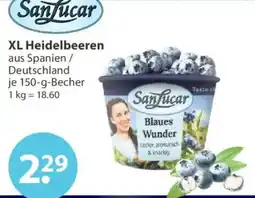 V Markt Sanfucar XL Heidelbeeren Angebot