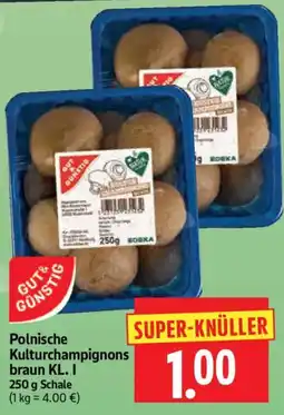 Edeka Herkules Polnische Kulturchampignons braun KL. I Angebot