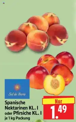 Edeka Herkules Spanische Nektarinen oder Pfirsiche Angebot
