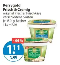 V Markt Kerrygold Frisch & Cremig Angebot