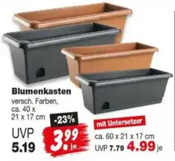 Repo Markt Blumenkasten Angebot