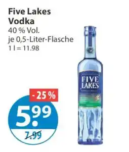 V Markt Five Lakes Vodka Angebot