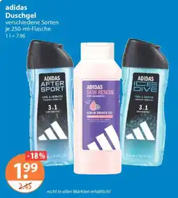 V Markt adidas Duschgel Angebot