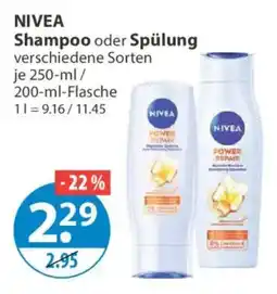 V Markt NIVEA Shampoo oder Spülung Angebot