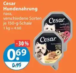 V Markt Cesar Hundenahrung Angebot
