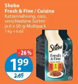 V Markt Sheba Fresh & Fine Angebot