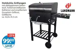 V Markt Holzkohle-Grillwagen LANDMANN Angebot