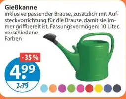 V Markt Gießkanne Angebot