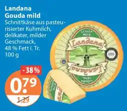 V Markt Landana Gouda mild Angebot