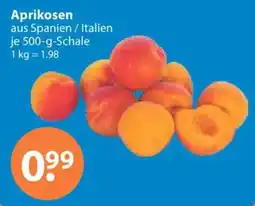 V Markt Aprikosen Angebot