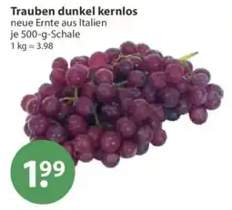 V Markt Trauben dunkel kernlos Angebot