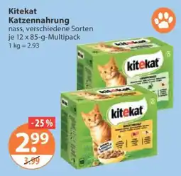 V Markt Kitekat Katzennahrung Angebot