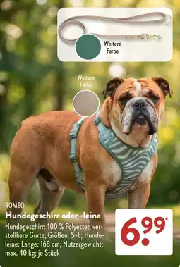 Aldi Süd ROMEО Hundegeschirr oder -leine Angebot