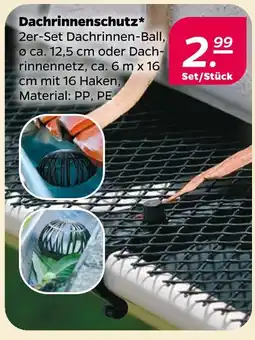 Netto Dachrinnen-ball Angebot